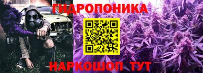 СК Канаш