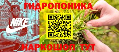 мескалин Камышлов