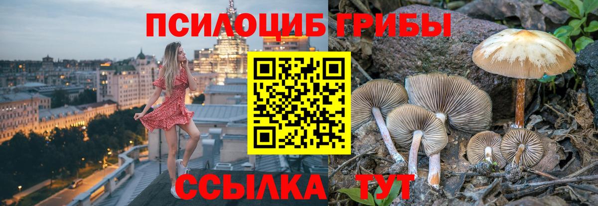 Галлюциногенные грибы Cubensis  Псилоцибиновые грибы Psilocybine cubensis  Вход с VPN  Краснокаменск 