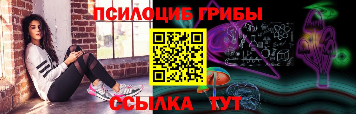 Псилоцибиновые грибы Cubensis Краснокаменск